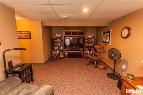 202 W Hillside Ct, Dunlap, IL 61525 photo 20