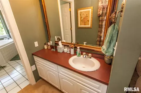 202 W Hillside Ct, Dunlap, IL 61525 photo 10