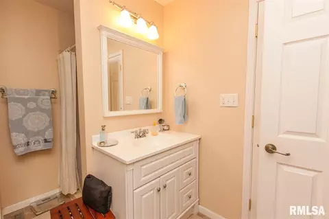 202 W Hillside Ct, Dunlap, IL 61525 photo 29