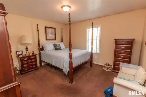 202 W Hillside Ct, Dunlap, IL 61525 photo 31