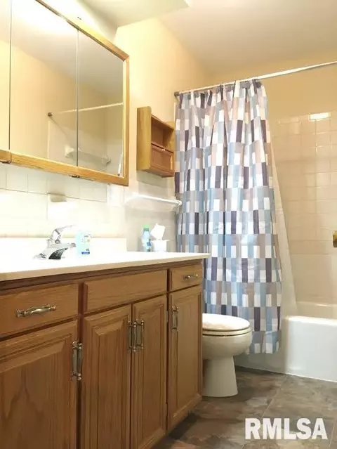 819 E 2nd, Delavan, IL 61734 photo 19