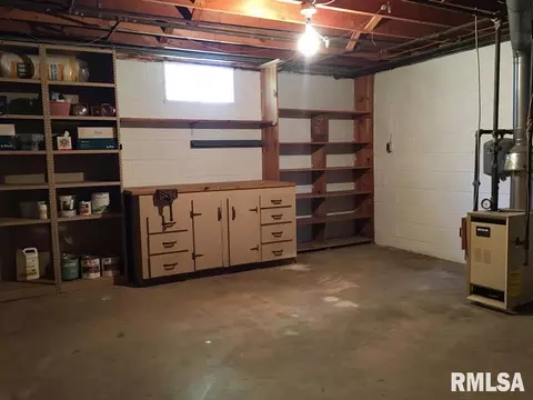 819 E 2nd, Delavan, IL 61734 photo 26