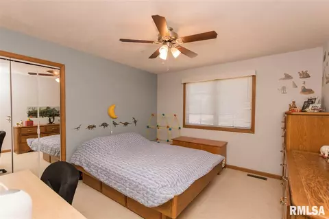 308 Broken Lance Ct, Dunlap, IL 61525 photo 22