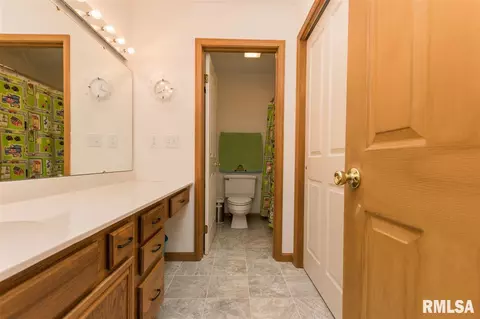 308 Broken Lance Ct, Dunlap, IL 61525 photo 24