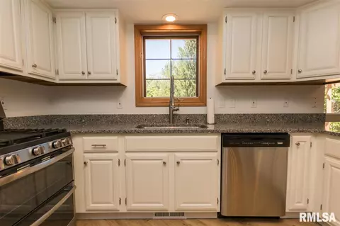 308 Broken Lance Ct, Dunlap, IL 61525 photo 9
