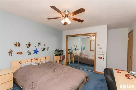308 Broken Lance Ct, Dunlap, IL 61525 photo 21
