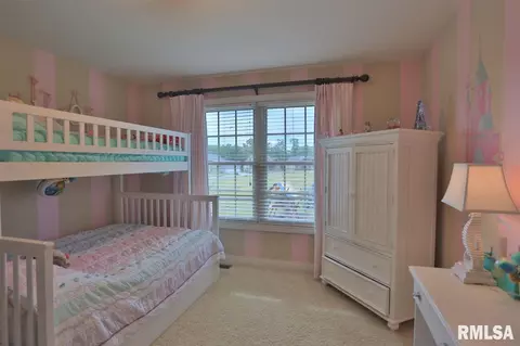 705 S Sara Ct, Dunlap, IL 61525 photo 23