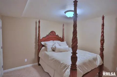 705 S Sara Ct, Dunlap, IL 61525 photo 28