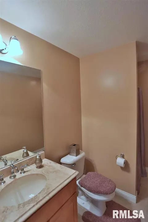 705 S Sara Ct, Dunlap, IL 61525 photo 21