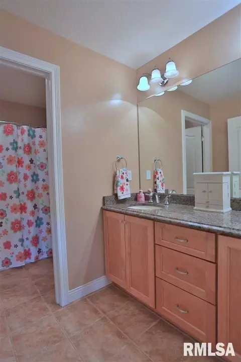 705 S Sara Ct, Dunlap, IL 61525 photo 24