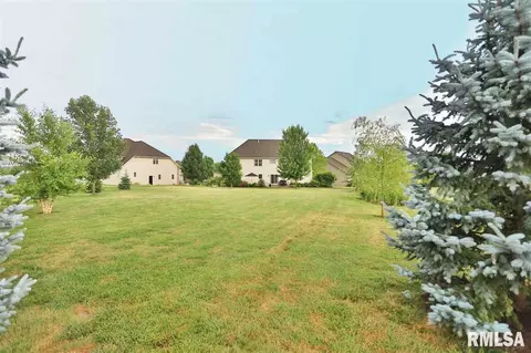 705 S Sara Ct, Dunlap, IL 61525 photo 30