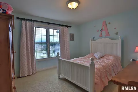 705 S Sara Ct, Dunlap, IL 61525 photo 20