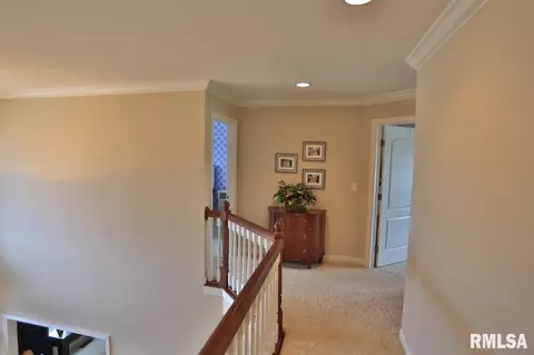 705 S Sara Ct, Dunlap, IL 61525 photo 16