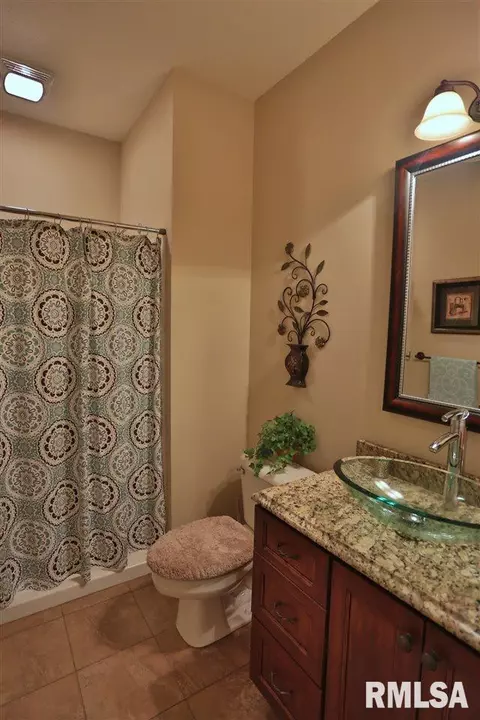 705 S Sara Ct, Dunlap, IL 61525 photo 9