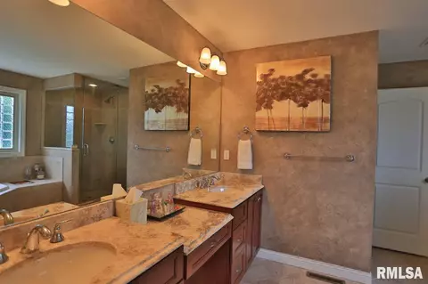 705 S Sara Ct, Dunlap, IL 61525 photo 18