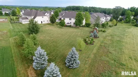 705 S Sara Ct, Dunlap, IL 61525 photo 32