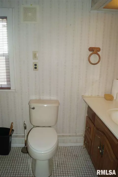 321 W Division St, Norris, IL 61553 photo 26