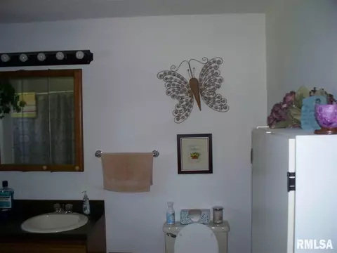 207 Quail Walk Rd, Macomb, IL 61455 photo 17