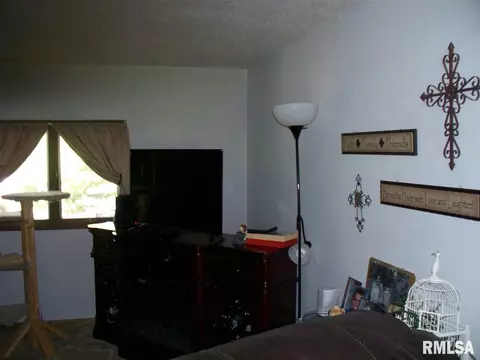 207 Quail Walk Rd, Macomb, IL 61455 photo 6