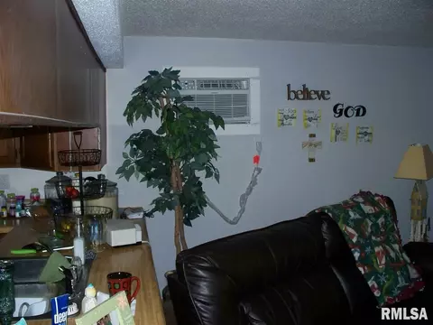 207 Quail Walk Rd, Macomb, IL 61455 photo 7
