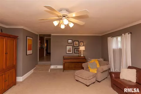 306 N 5th St, Dunlap, IL 61525 photo 19