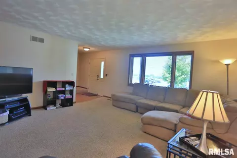 12504 N Cedar Bluff Dr, Dunlap, IL 61525 photo 5