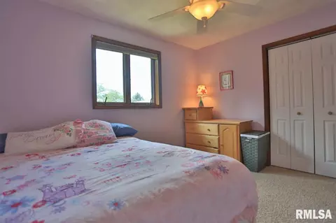 12504 N Cedar Bluff Dr, Dunlap, IL 61525 photo 23