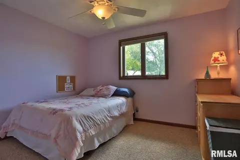 12504 N Cedar Bluff Dr, Dunlap, IL 61525 photo 22