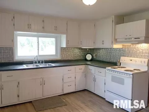 659 E Pine St, Canton, IL 61520 photo 6