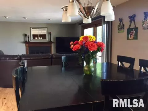 4109 S Lake Camelot St, Mapleton, IL 61547 photo 24