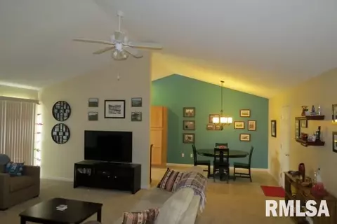 2319 W Marks Pl, Dunlap, IL 61525 photo 12