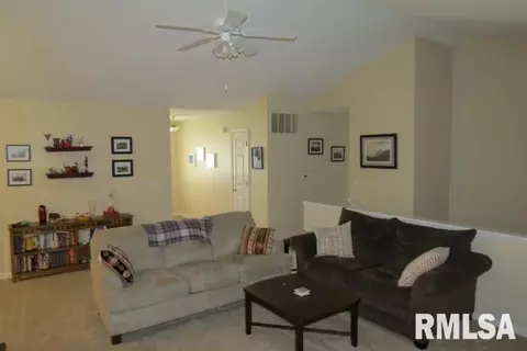 2319 W Marks Pl, Dunlap, IL 61525 photo 15