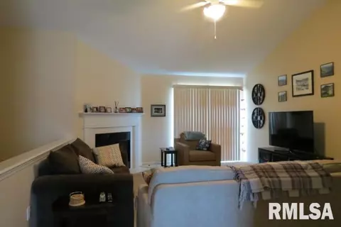 2319 W Marks Pl, Dunlap, IL 61525 photo 11