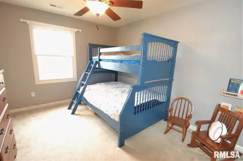 2323 W Marks Pl, Dunlap, IL 61525 photo 18