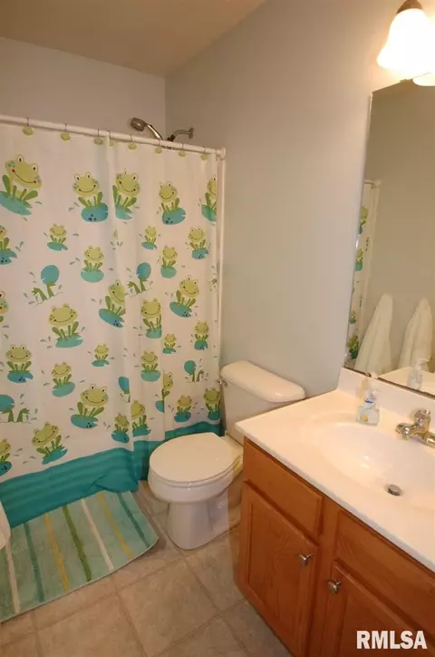 2323 W Marks Pl, Dunlap, IL 61525 photo 21