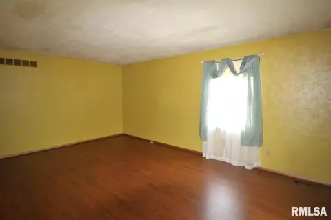 719 E Chatham St, Metamora, IL 61548 photo 4