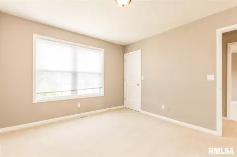 6706 N Buckeye Dr, Edwards, IL 61528 photo 30