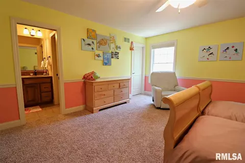 1109 S Copperpoint Dr, Dunlap, IL 61525 photo 27