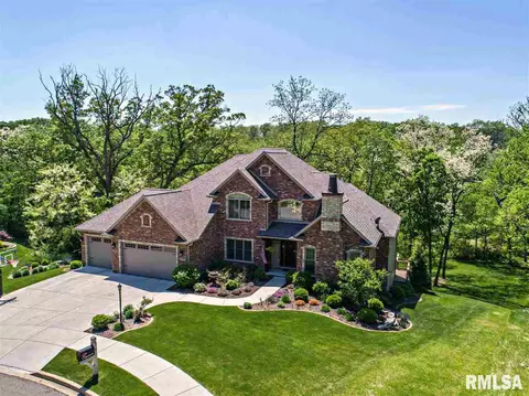 1109 S Copperpoint Dr, Dunlap, IL 61525 photo 2