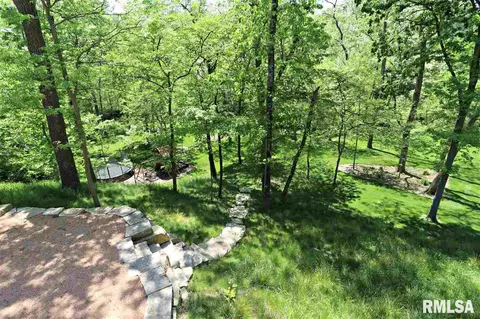1109 S Copperpoint Dr, Dunlap, IL 61525 photo 34