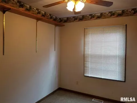1465 E Spruce St, Canton, IL 61520 photo 18