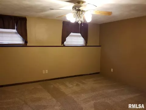 1465 E Spruce St, Canton, IL 61520 photo 22