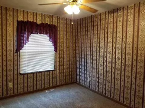 1465 E Spruce St, Canton, IL 61520 photo 19