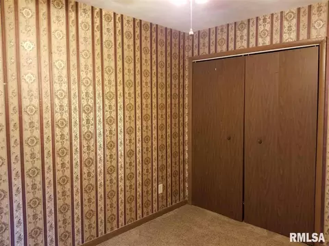 1465 E Spruce St, Canton, IL 61520 photo 20