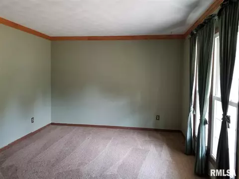 1465 E Spruce St, Canton, IL 61520 photo 6