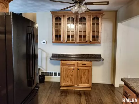 1465 E Spruce St, Canton, IL 61520 photo 9