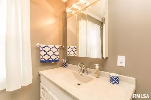 100 Pieper Cir, Delavan, IL 61734 photo 14