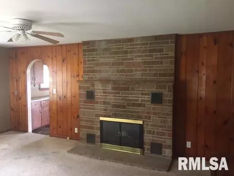 1411 E Chestnut, Canton, IL 61520 photo 4