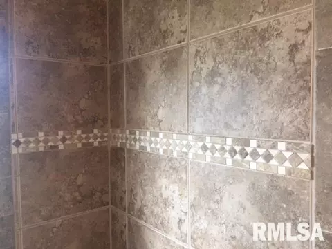1411 E Chestnut, Canton, IL 61520 photo 12