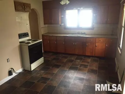 1411 E Chestnut, Canton, IL 61520 photo 6